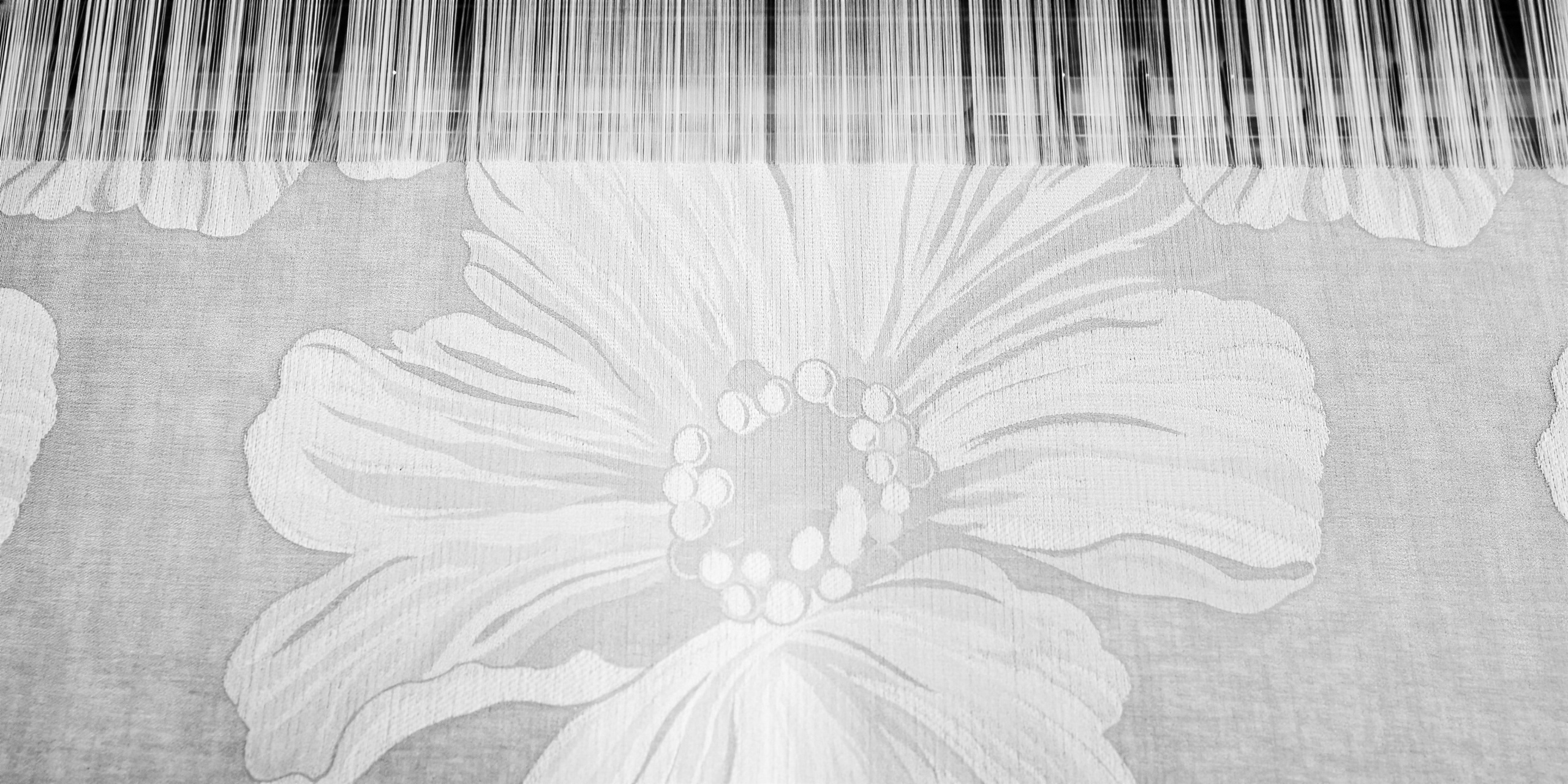 Jacquard botanico in formazione su un telaio Beltrami